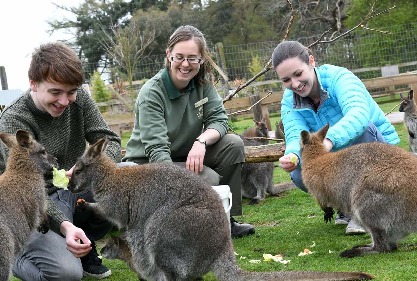 Yorkshire Wildlife Park ClickTrips Coach Day Trips And Holidays